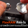 flexram