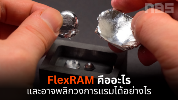 flexram