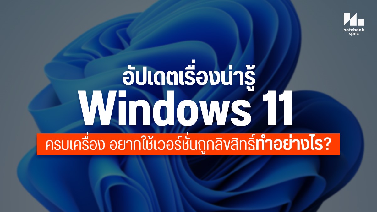 Windows11Update
