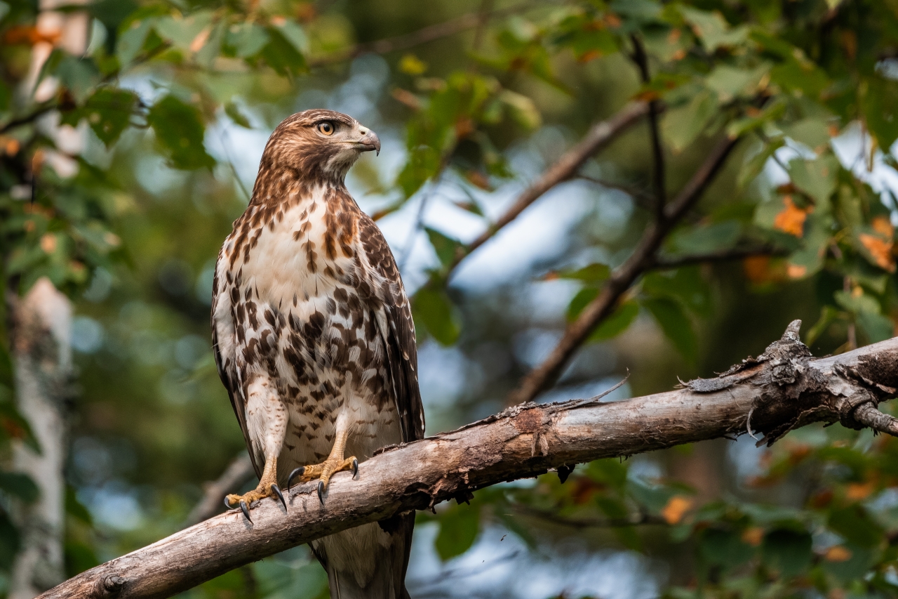 Sample photo XF500mmF5.6 R LM OIS WR 03