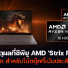 amd strix point cpu