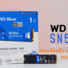 wd sn5000 1tb ssd