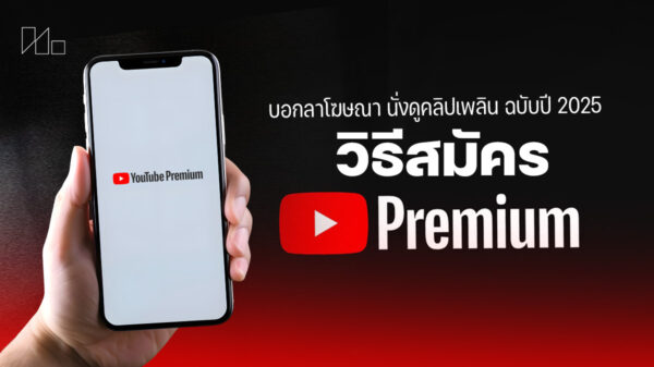 241202 NBS image youtube premium