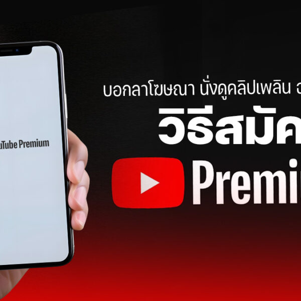 241202 NBS image youtube premium