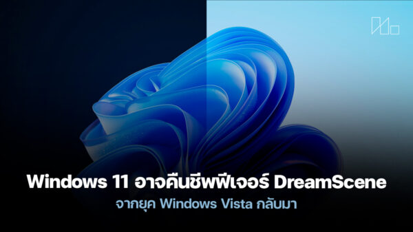 250922 windows 11 dreamscene