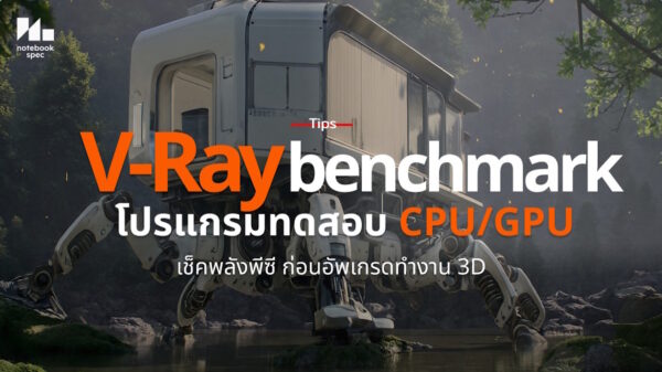 V ray bench cov 2025