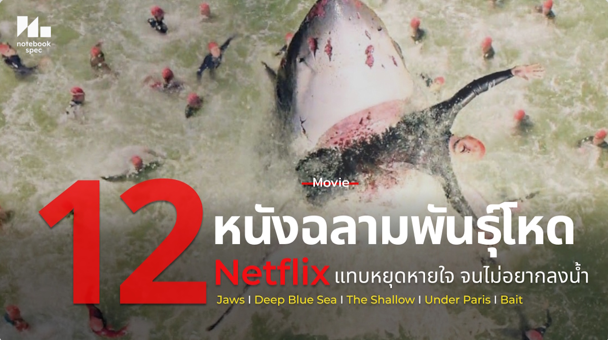 หนังฉลาม