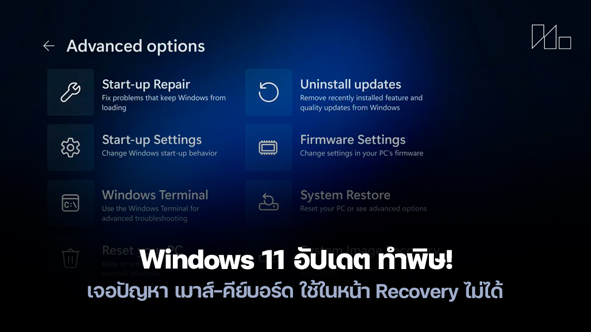 Windows 11 recovery bug