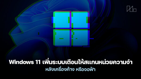 251028 windows 11 memory scan bsod