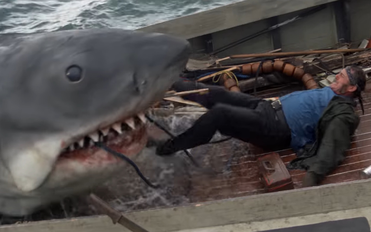 หนังฉลาม