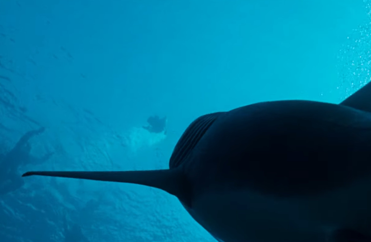 หนังฉลาม