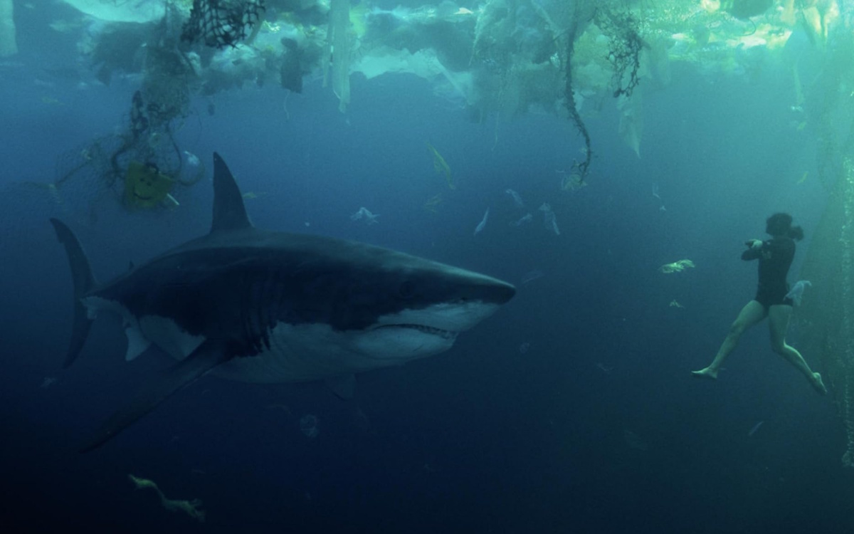 หนังฉลาม