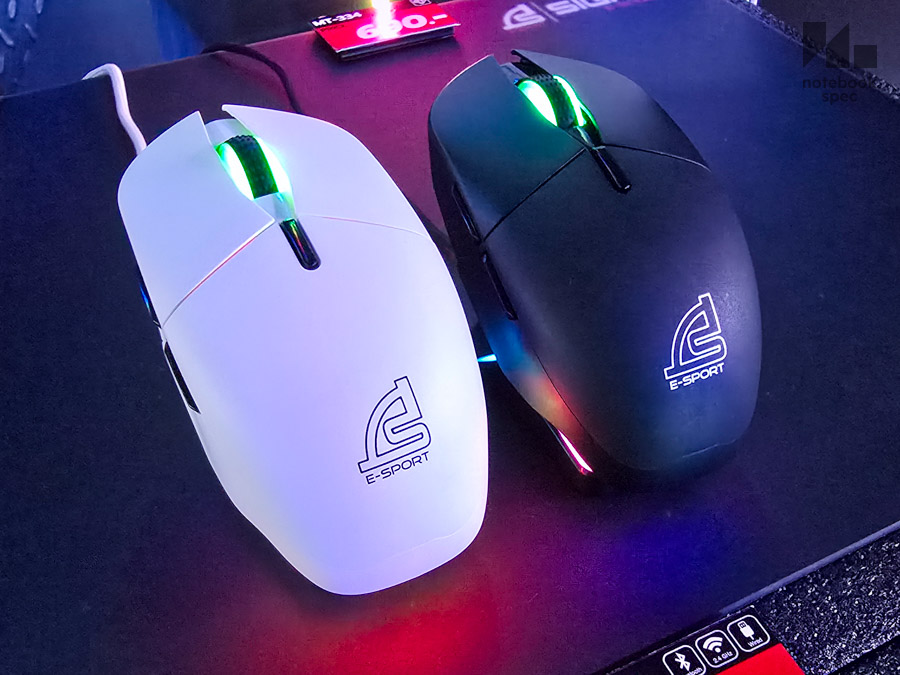 เมาส์เล่นเกมในงาน TGS