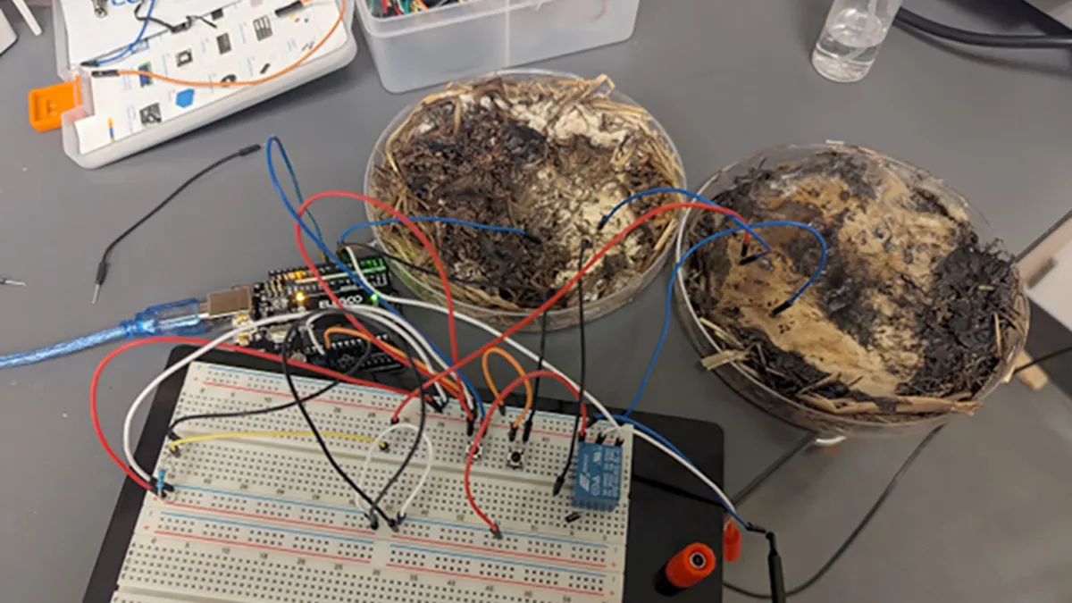 shiitake mycelium memristors