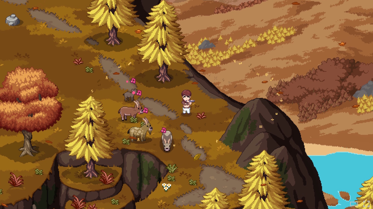 เกมปลูกผัก