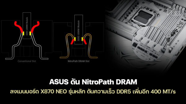 260114 asus x870 neo nitropath dram ddr5