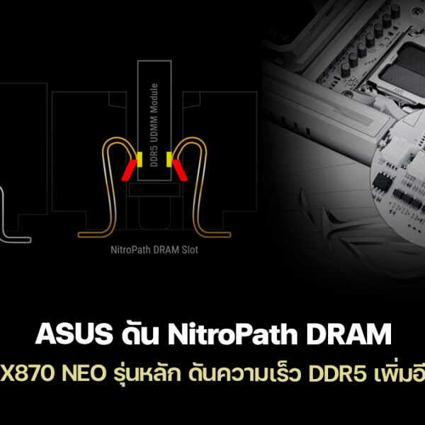 260114 asus x870 neo nitropath dram ddr5