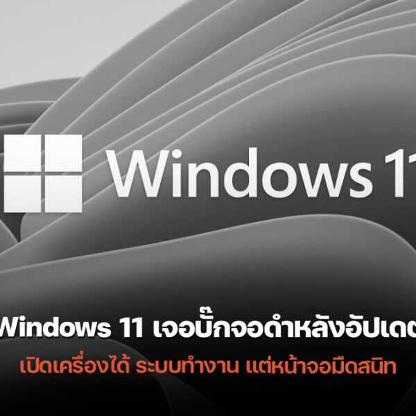260120 windows 11 black screen january 2026 update