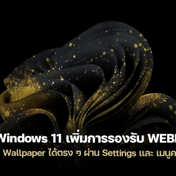 260129 windows 11 webp wallpaper