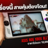 260202 NBS image rog xbox ally1