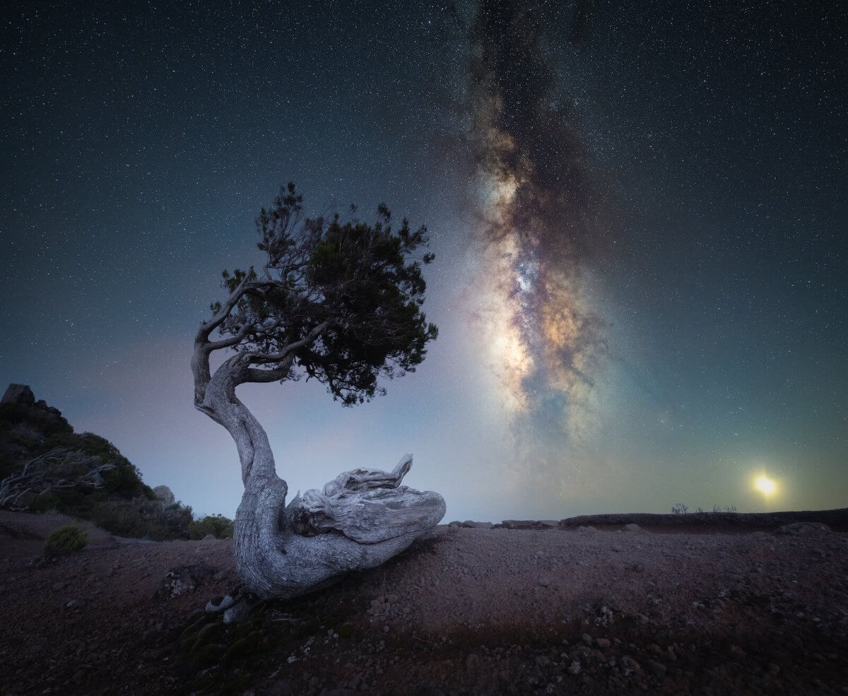 รูป ตัวอย่างรูปจากแคนนอน RF14mm f1.4L VCM 4