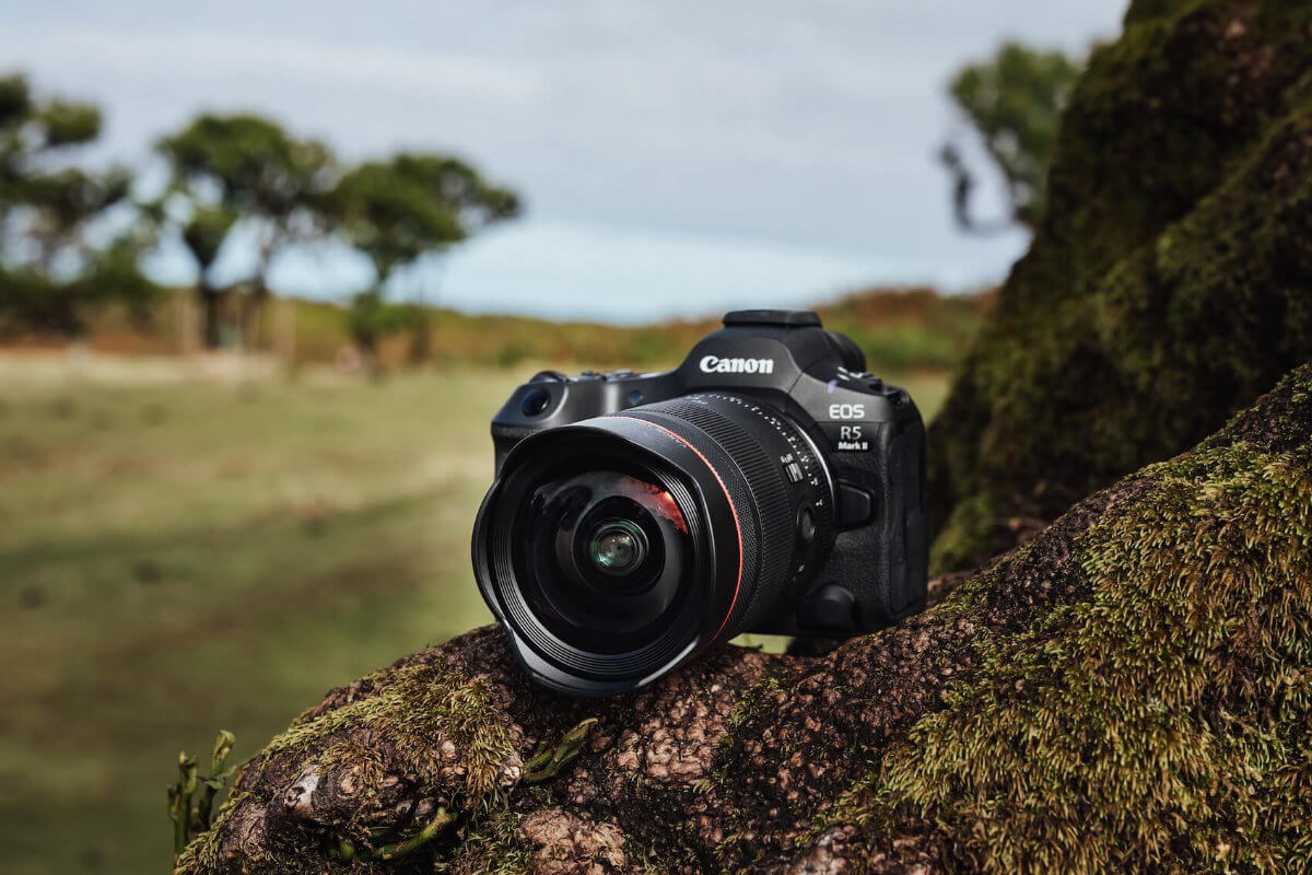 รูป แคนนอน RF14mm f1.4L VCM 5