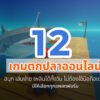 12 fishing game 2026