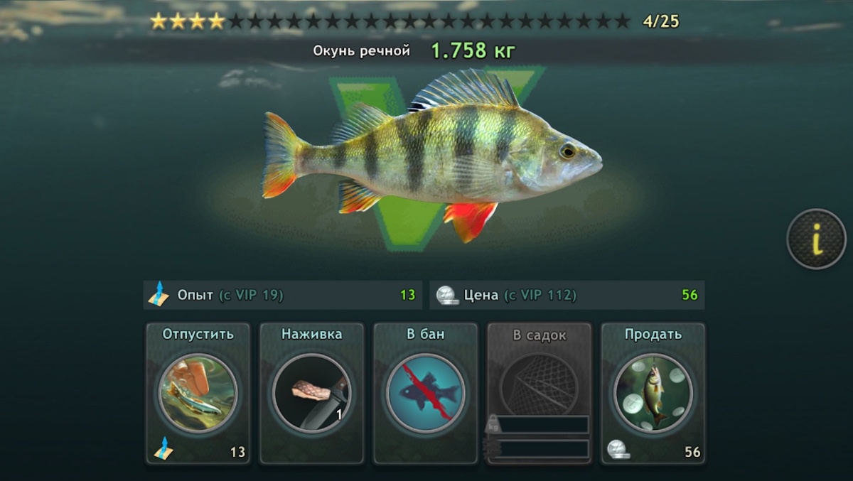 เกมตกปลา