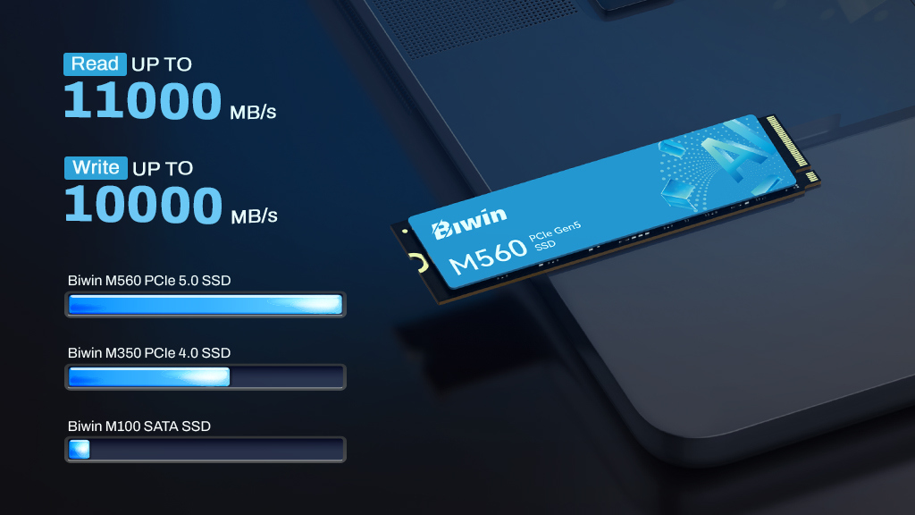 Biwin M560