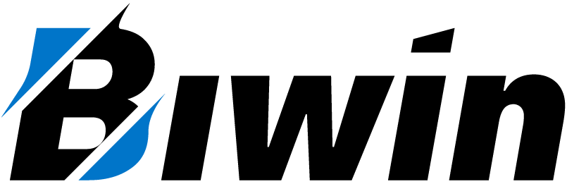Biwin M560